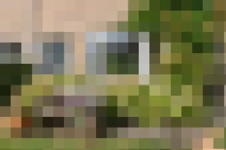 Ramplaan 56 Haarlem thumbnail 5