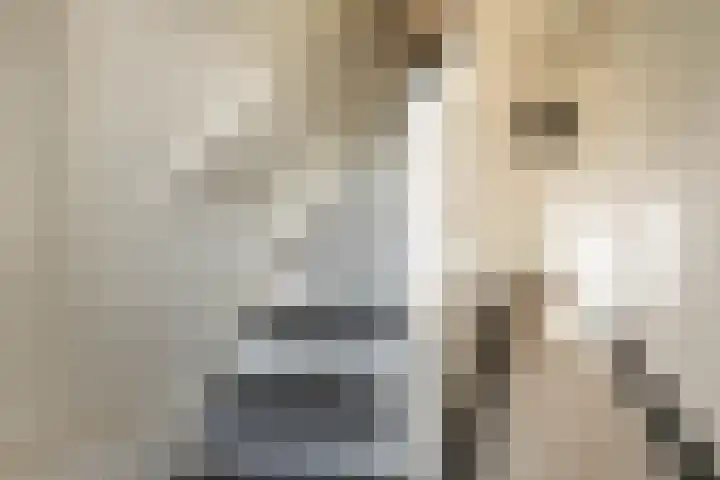 Ramplaan 56 Haarlem thumbnail 6