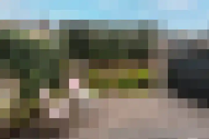 Ramplaan 87 Haarlem thumbnail 17