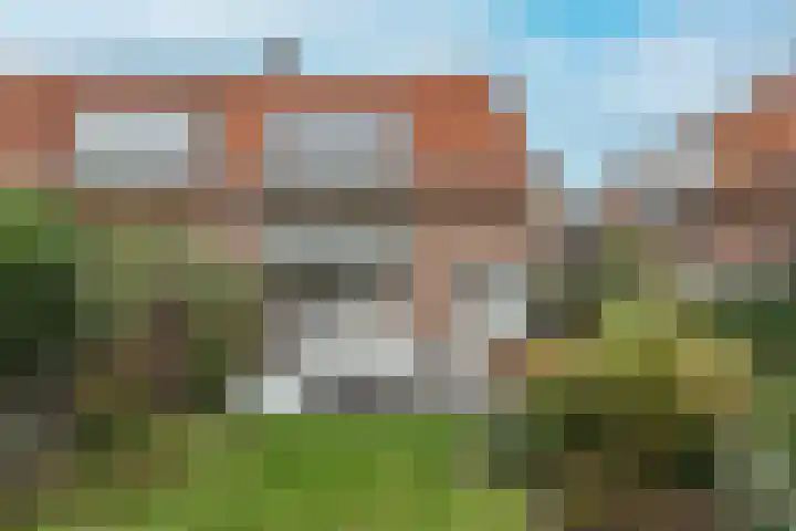 Ramplaan 87 Haarlem thumbnail 6