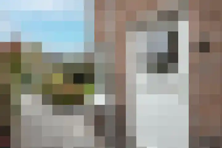 Ramplaan 87 Haarlem thumbnail 8