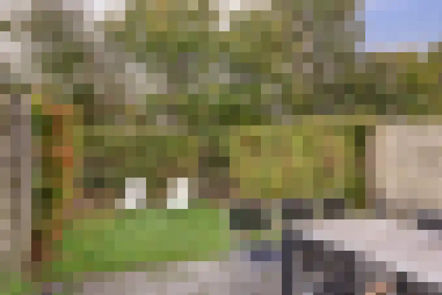 Rampweg 20 0017 Noordwelle thumbnail 28