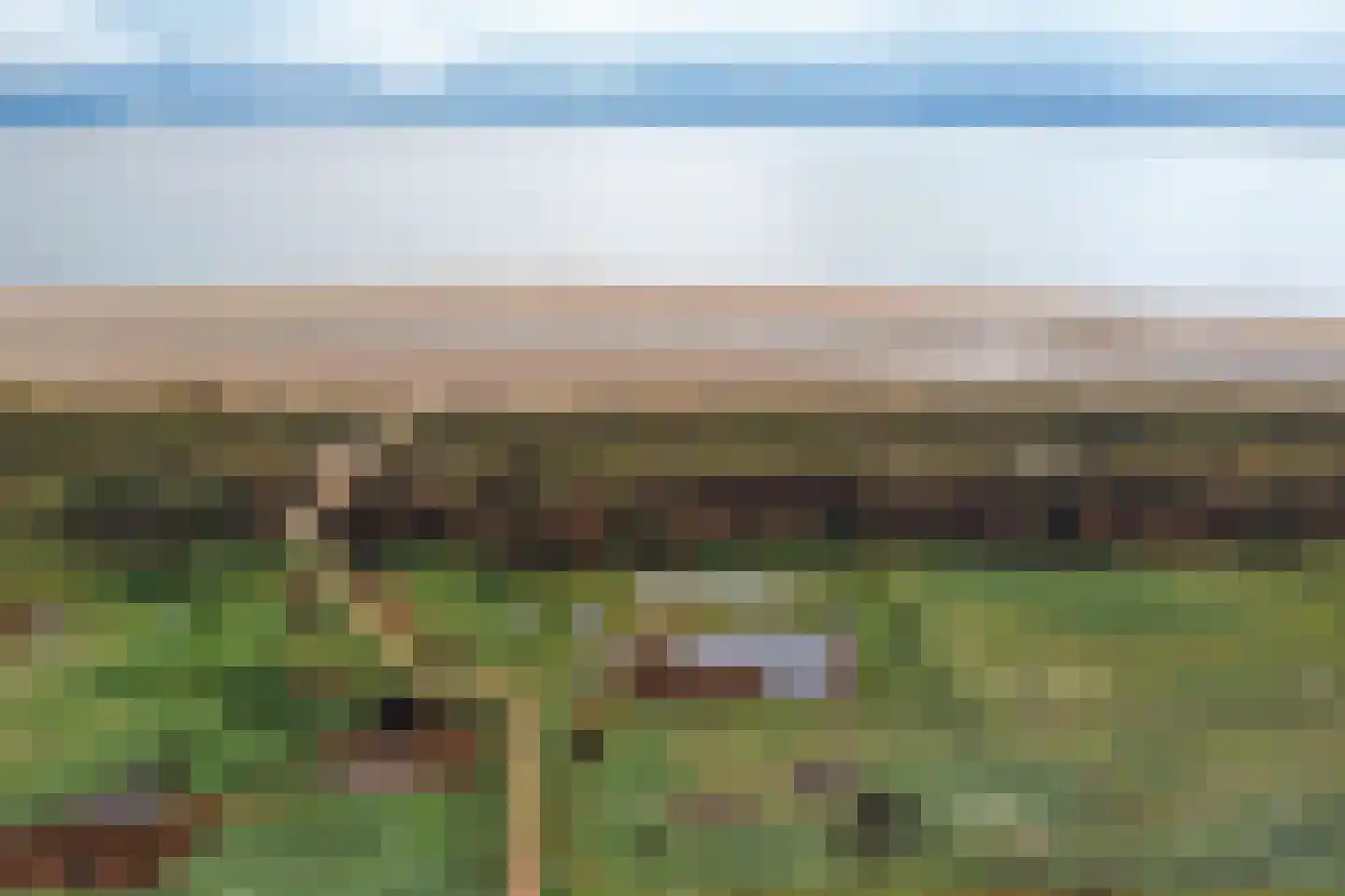 Rampweg 20 0017 Noordwelle thumbnail 4