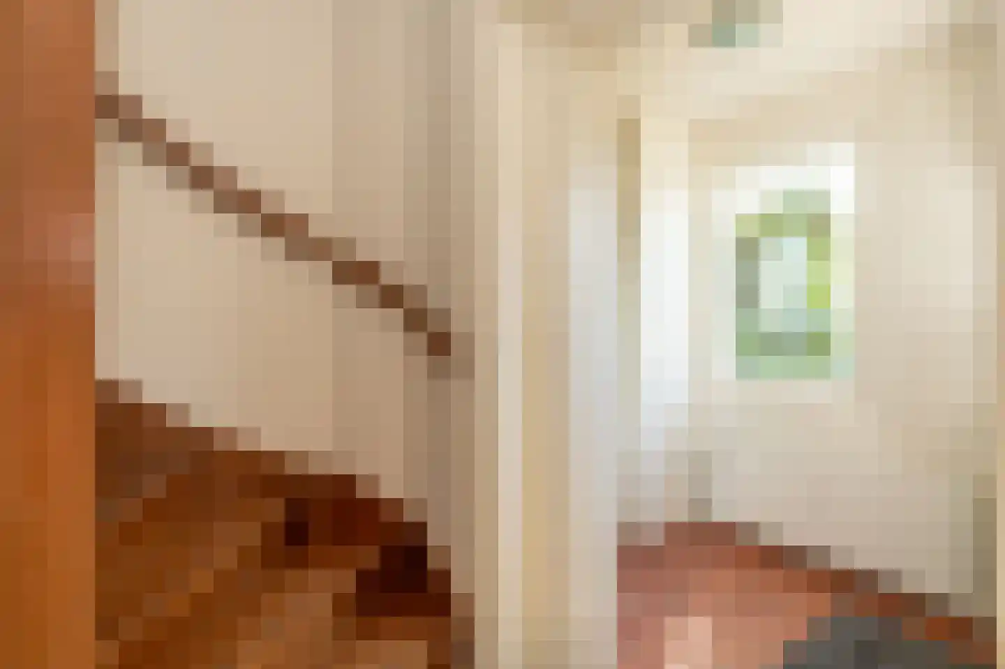 Rampweg 3 Renesse thumbnail 18