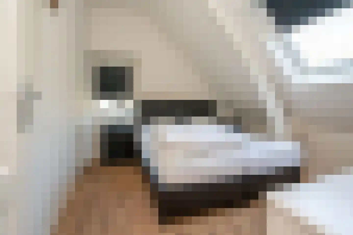 Rampweg 3 Renesse thumbnail 22