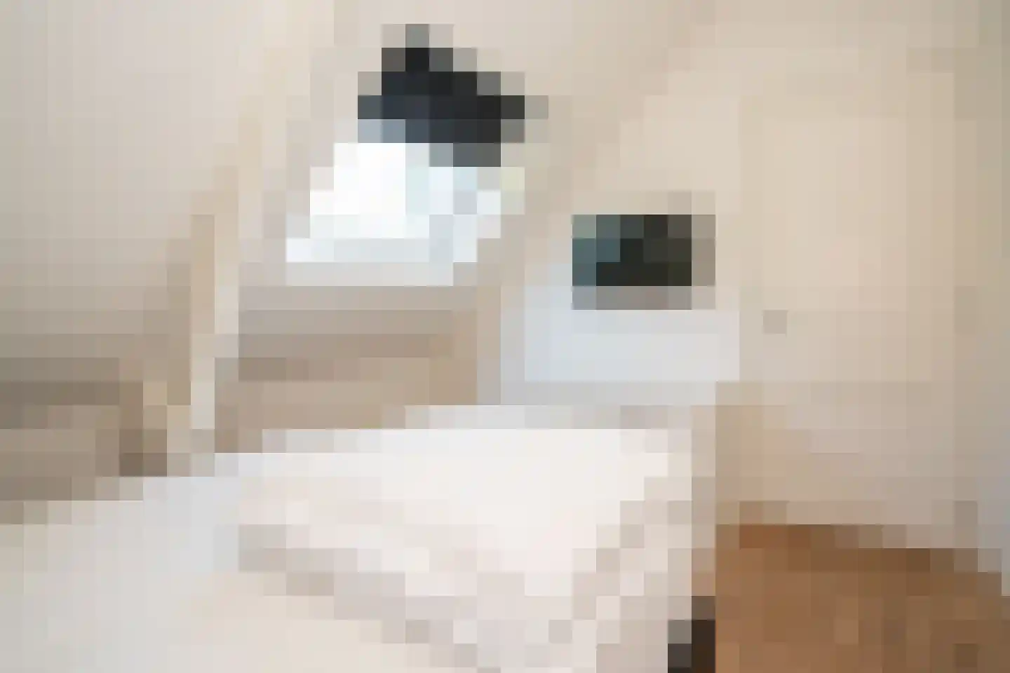 Rampweg 3 Renesse thumbnail 23