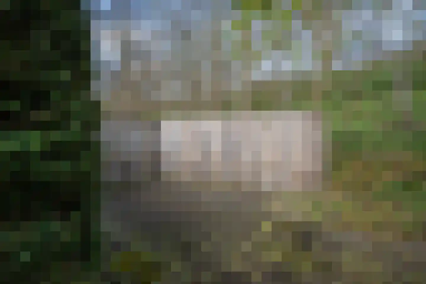 Rampweg 3 Renesse thumbnail 34