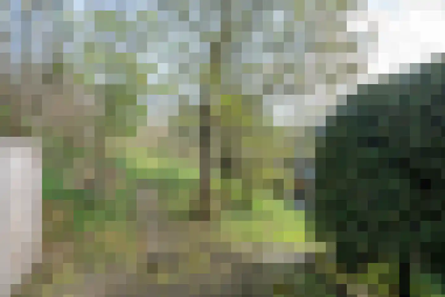 Rampweg 3 Renesse thumbnail 35