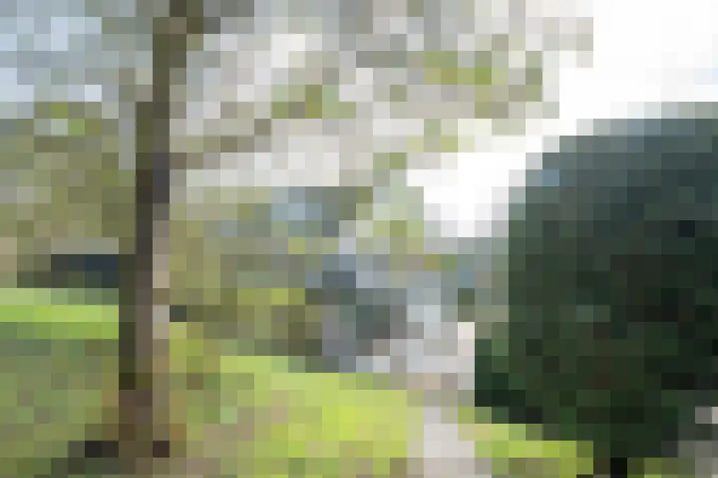 Rampweg 3 Renesse thumbnail 4