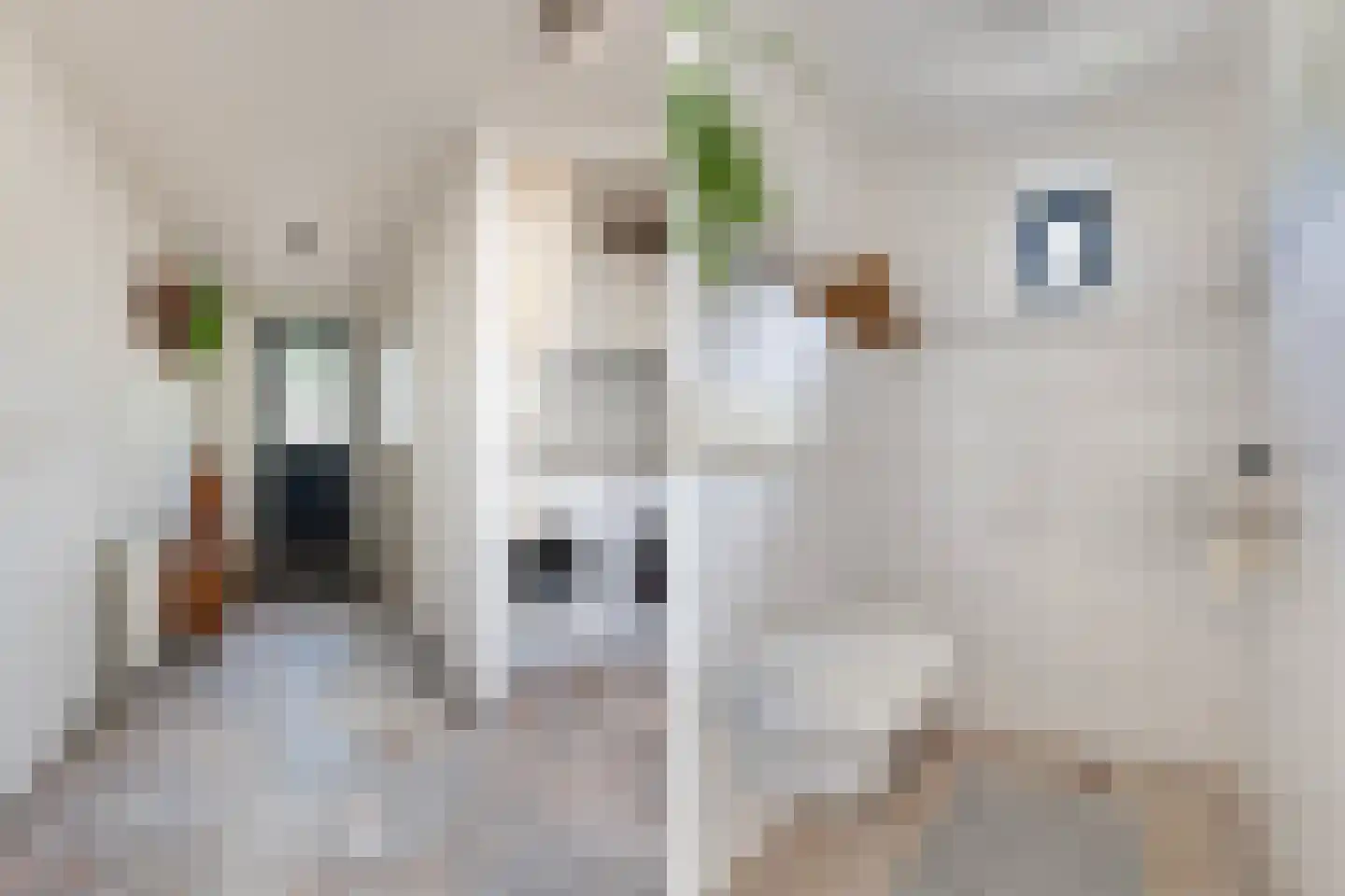 Ramsbeekweg 10 Eibergen thumbnail 10