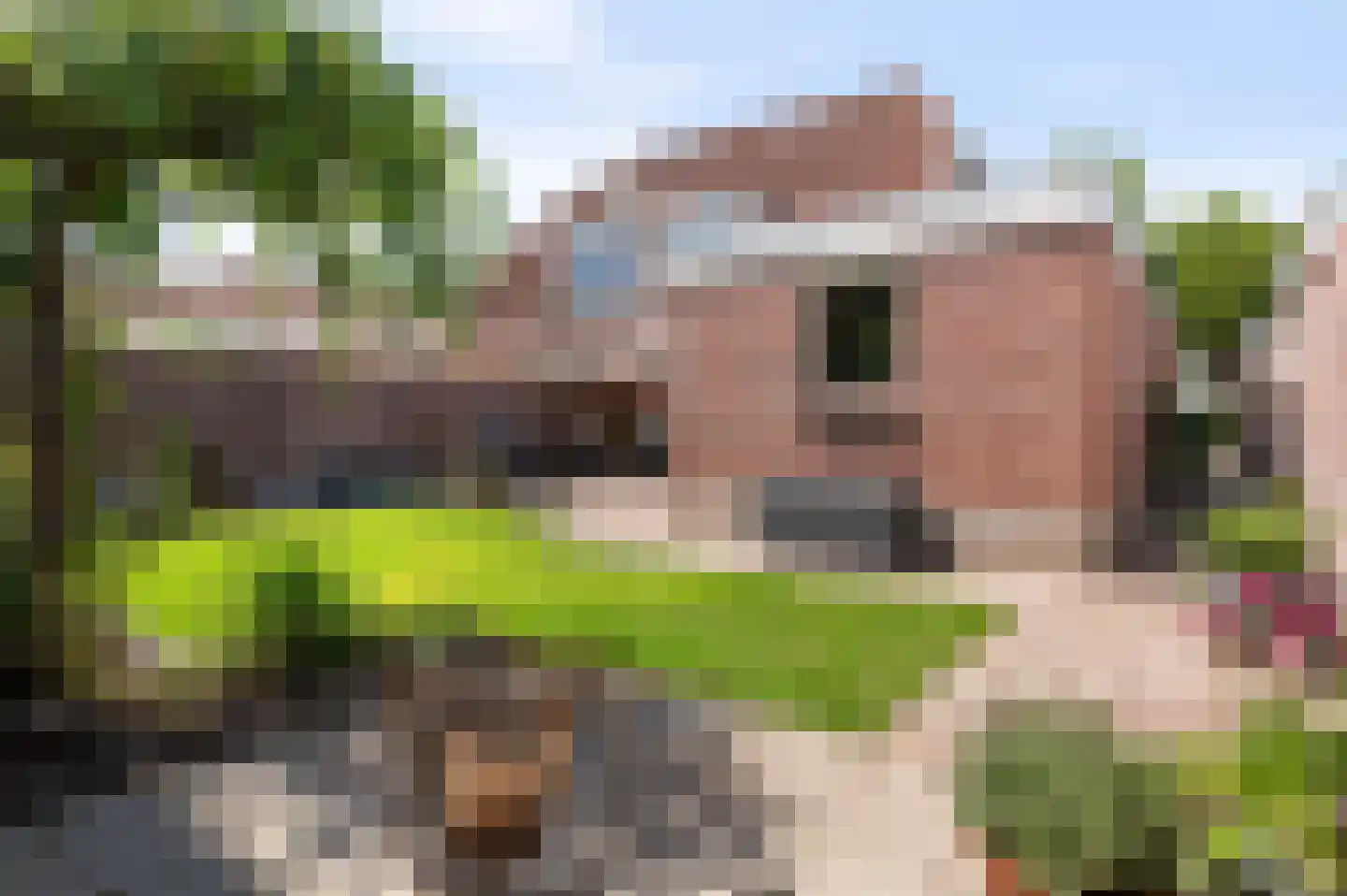 Ramsbeekweg 10 Eibergen thumbnail 34