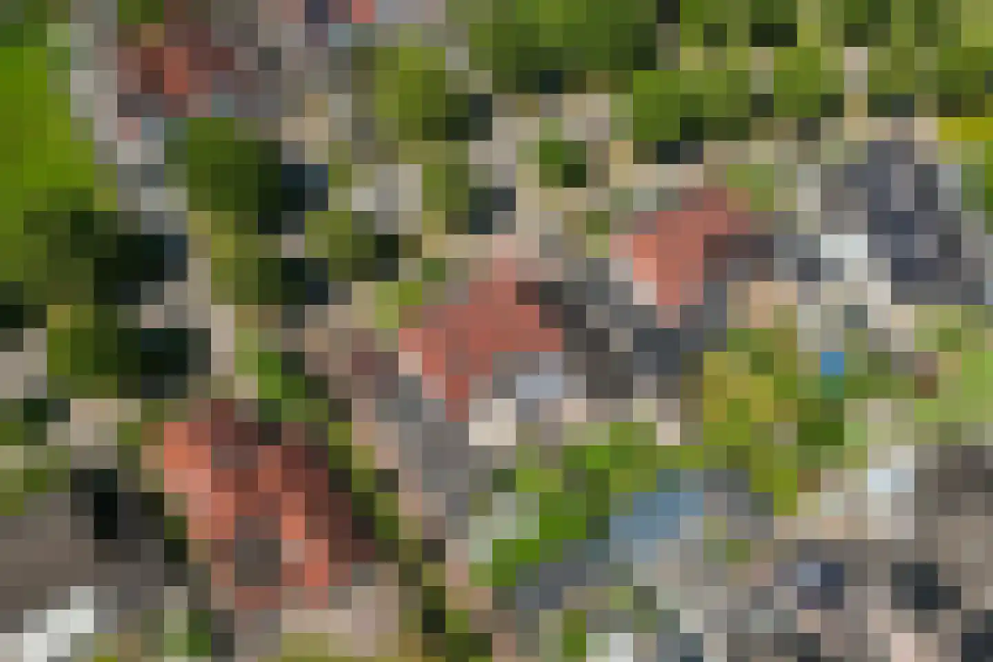 Ramsbeekweg 10 Eibergen thumbnail 41