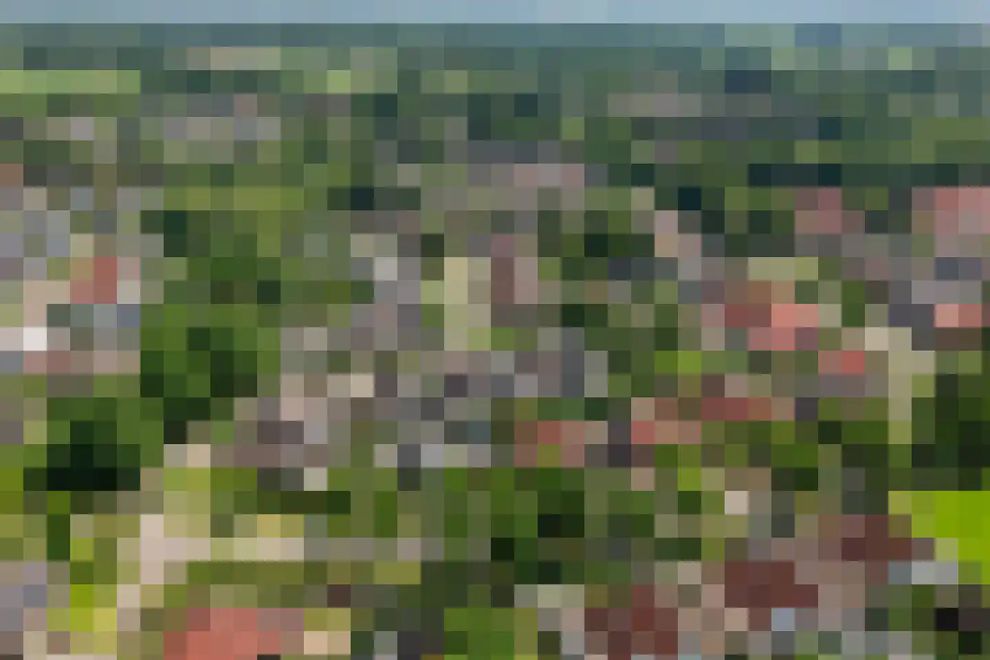 Ramsbeekweg 10 Eibergen thumbnail 42