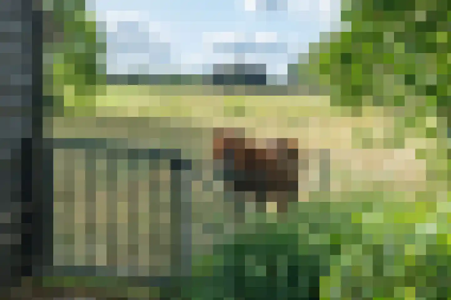 Ramsbrugweg 51 Wenum Wiesel thumbnail 38