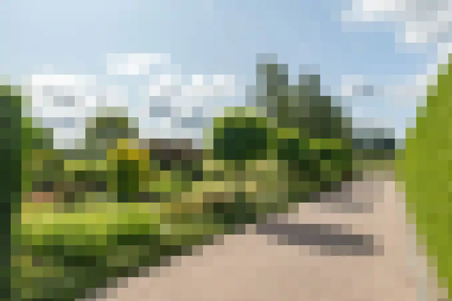 Ramsbrugweg 51 Wenum Wiesel thumbnail 40