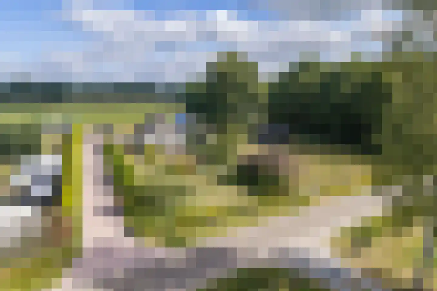 Ramsbrugweg 51 Wenum Wiesel thumbnail 45
