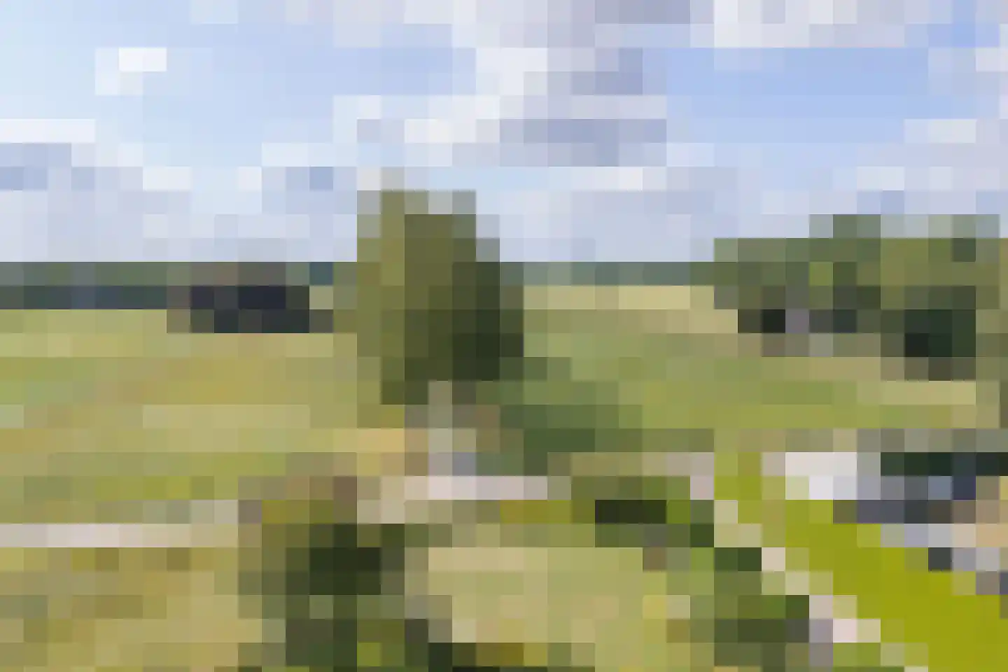 Ramsbrugweg 51 Wenum Wiesel thumbnail 46