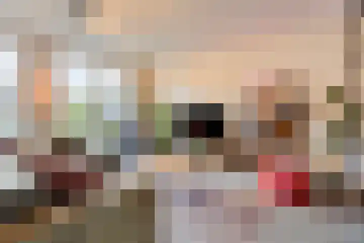 Ramselaar 2 Barneveld thumbnail 14