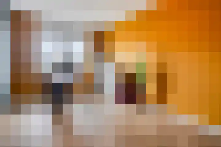 Ramselaar 2 Barneveld thumbnail 21