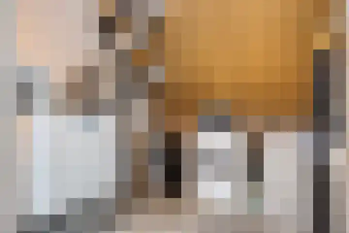 Ramselaar 2 Barneveld thumbnail 28