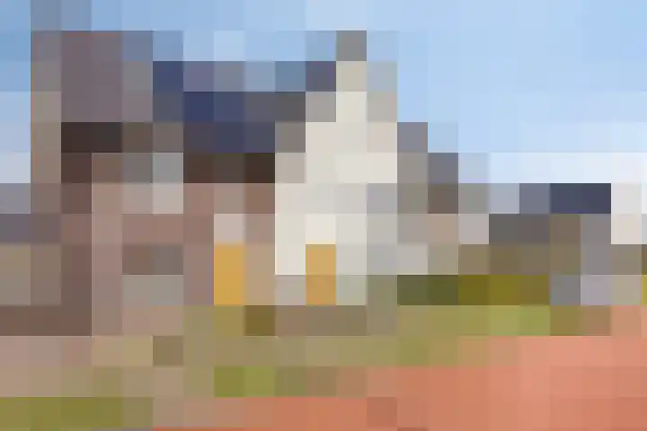 Ramselaar 2 Barneveld thumbnail 38