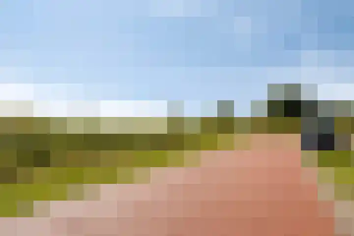 Ramselaar 2 Barneveld thumbnail 39