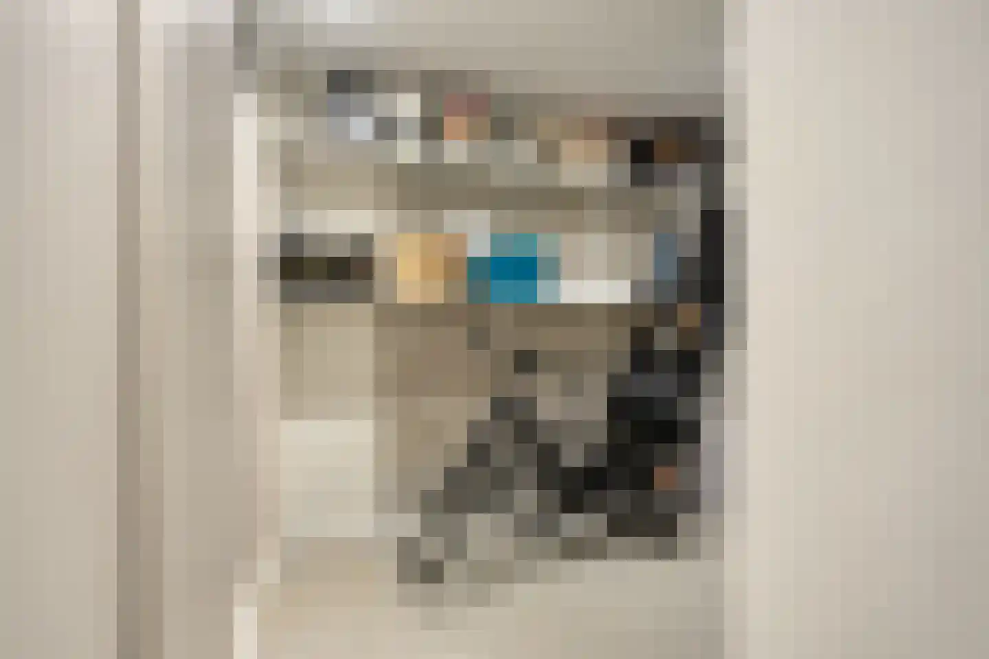 Ramses Shaffyhof 24 Zaandijk thumbnail 10