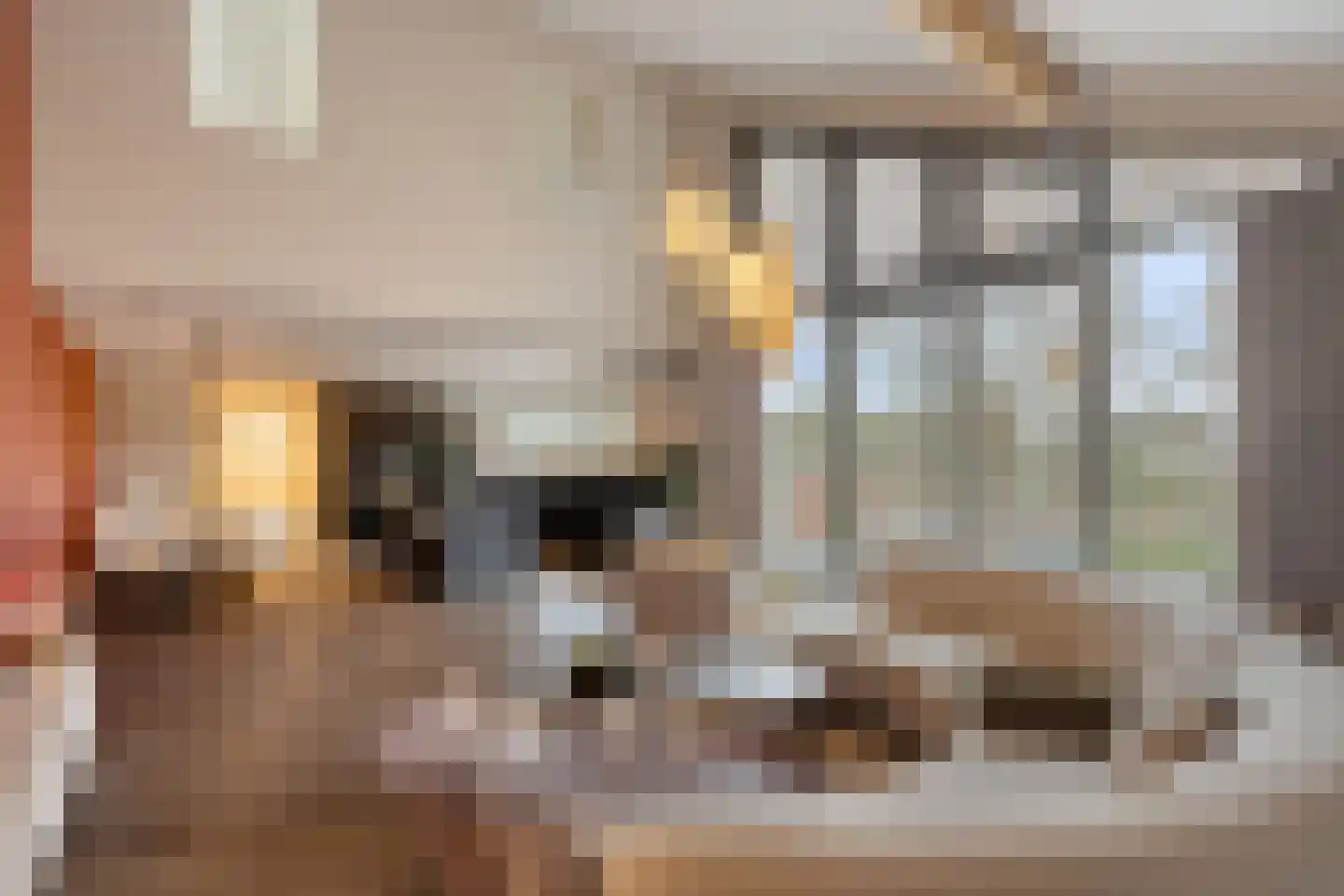Ramses Shaffyhof 24 Zaandijk thumbnail 17