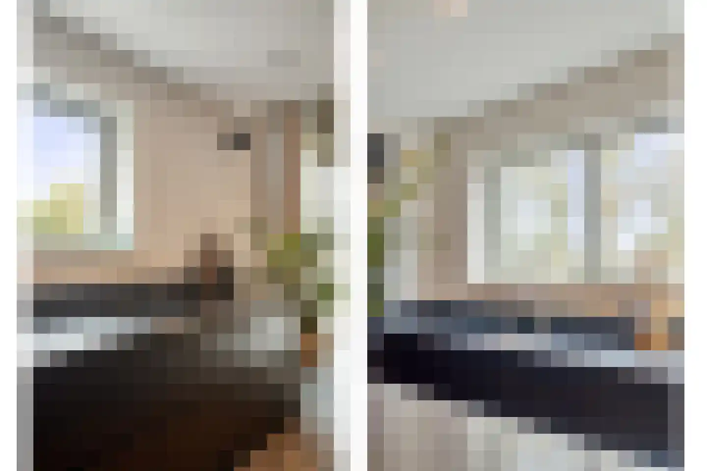 Ramses Shaffyhof 24 Zaandijk thumbnail 19