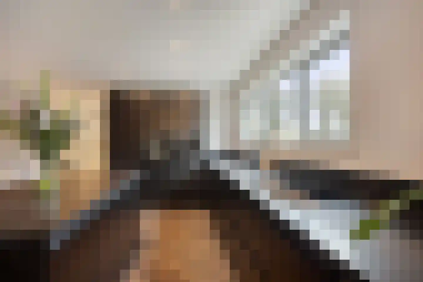 Ramses Shaffyhof 24 Zaandijk thumbnail 23