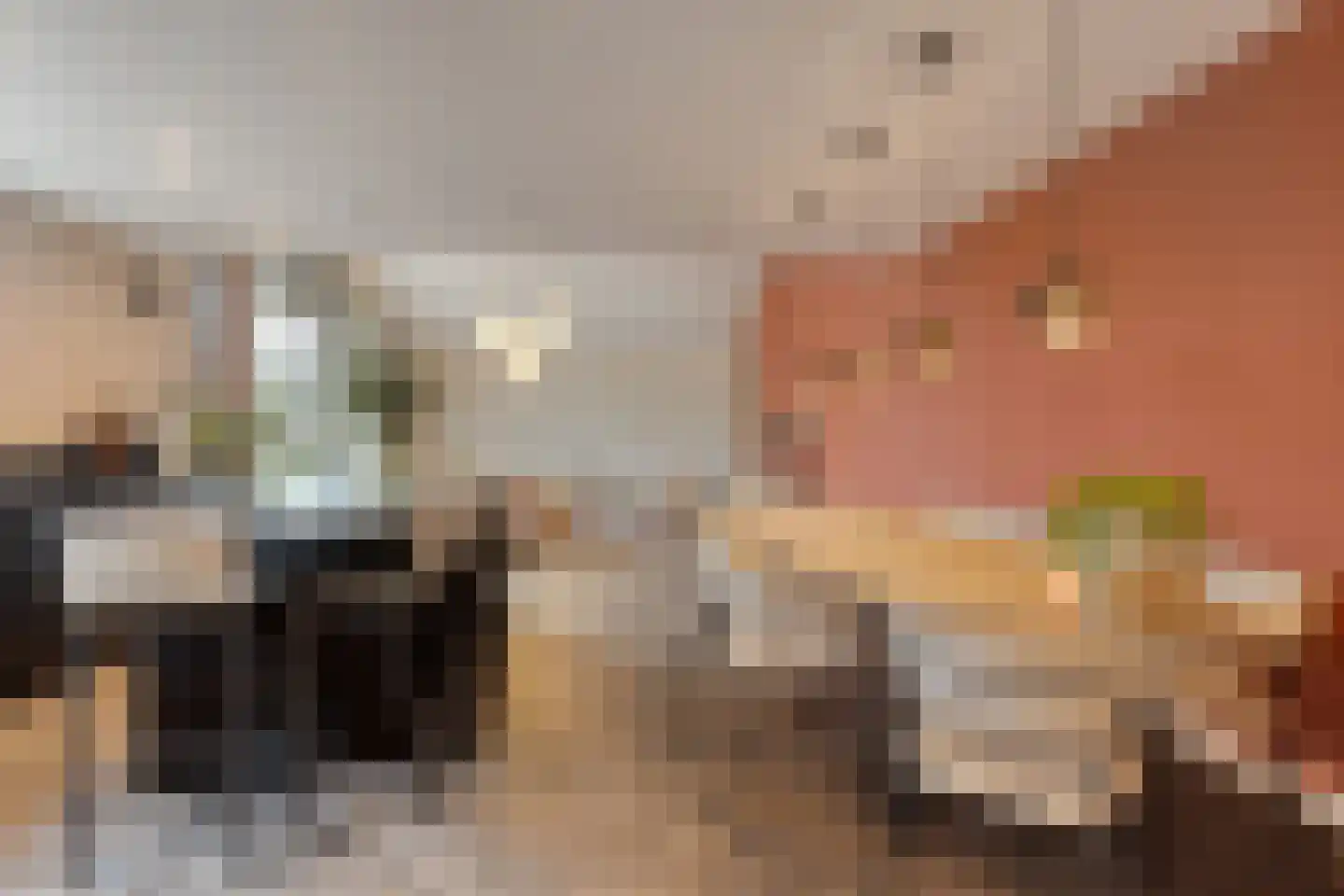 Ramses Shaffyhof 24 Zaandijk thumbnail 24