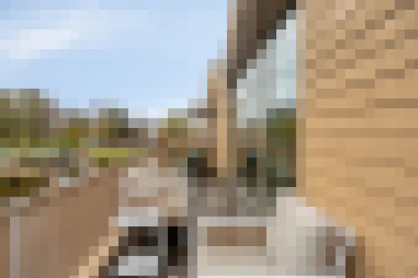 Ramses Shaffyhof 24 Zaandijk thumbnail 26
