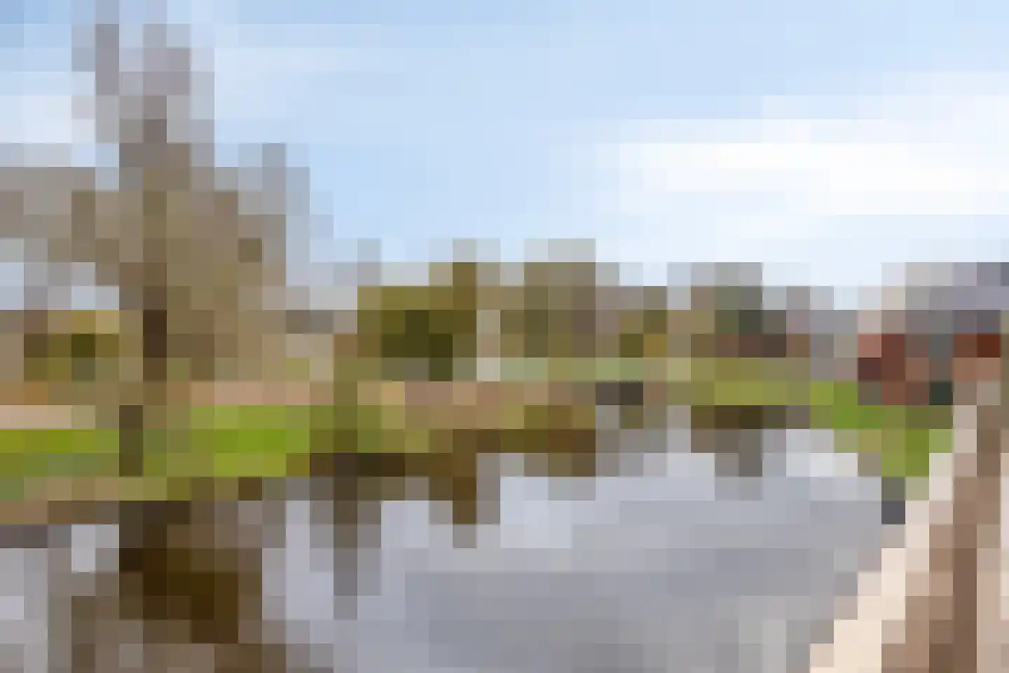 Ramses Shaffyhof 24 Zaandijk thumbnail 27