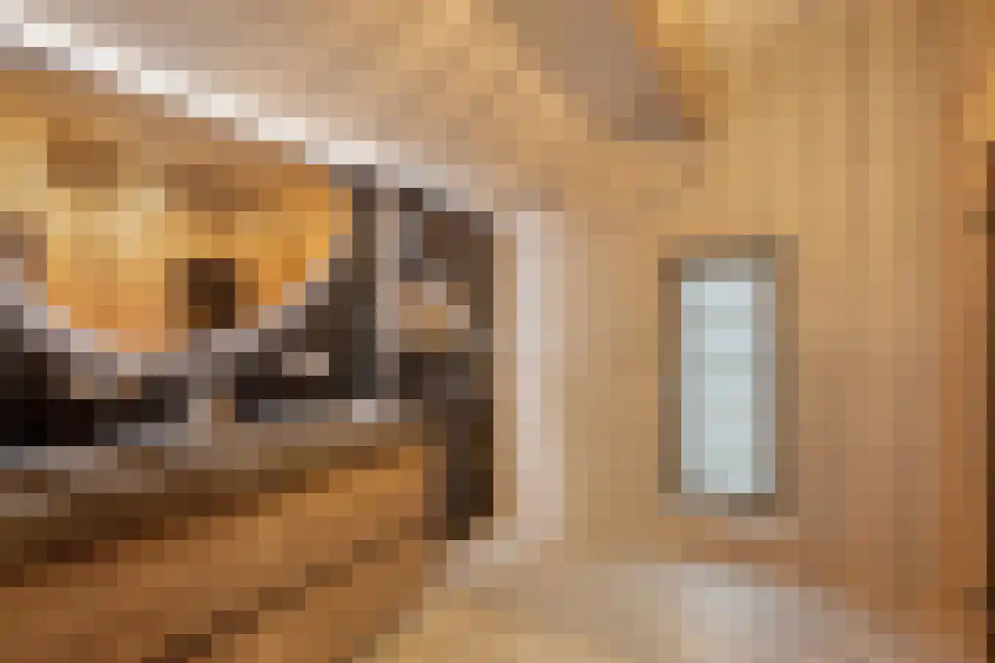 Ramses Shaffyhof 24 Zaandijk thumbnail 41