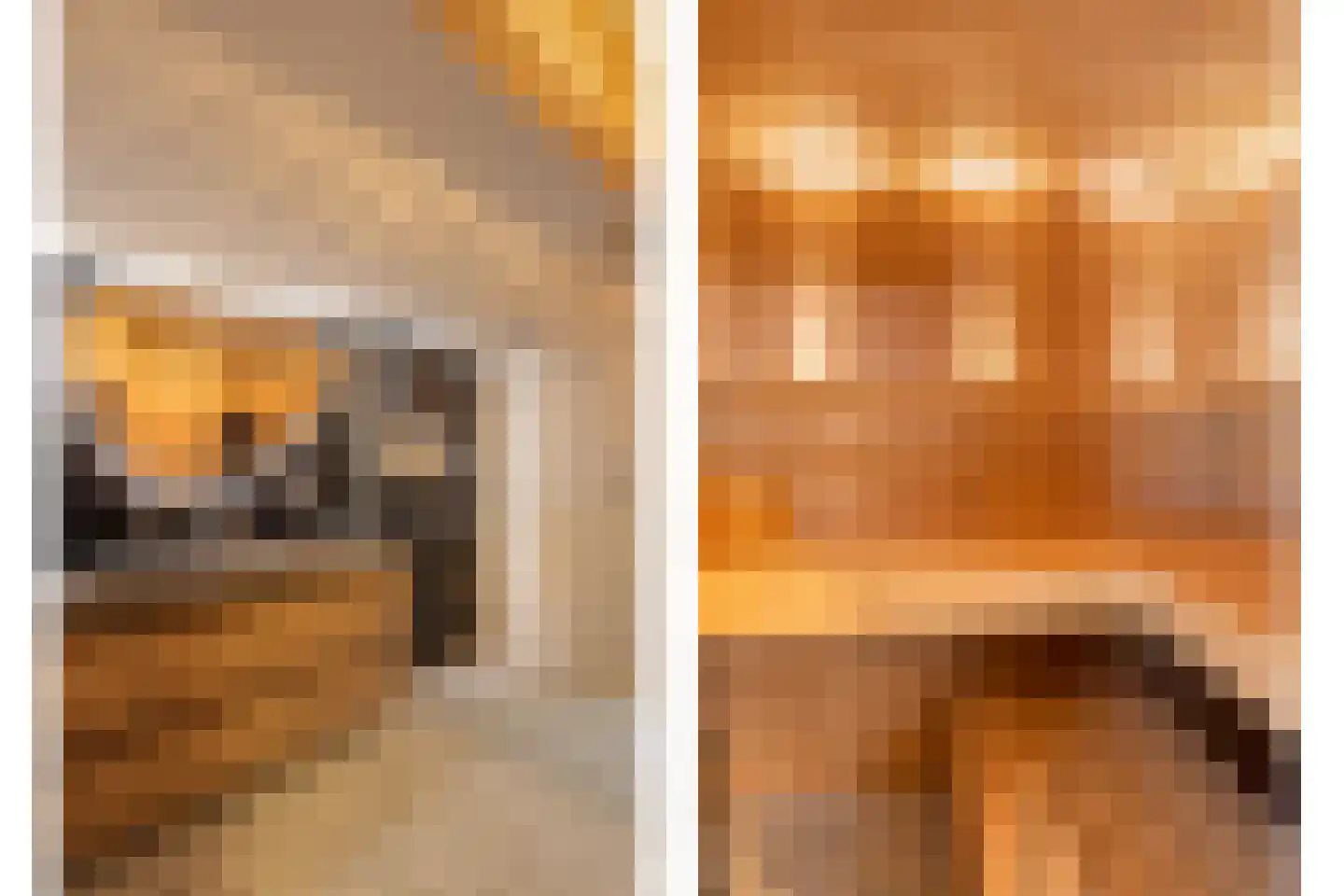 Ramses Shaffyhof 24 Zaandijk thumbnail 42