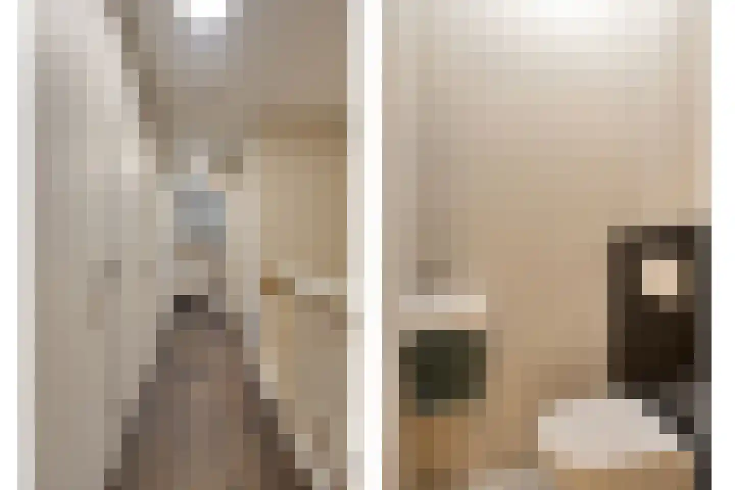 Ramses Shaffyhof 24 Zaandijk thumbnail 50