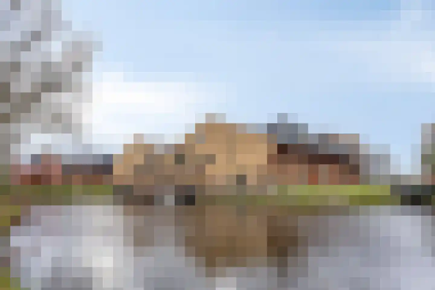 Ramses Shaffyhof 24 Zaandijk thumbnail 54