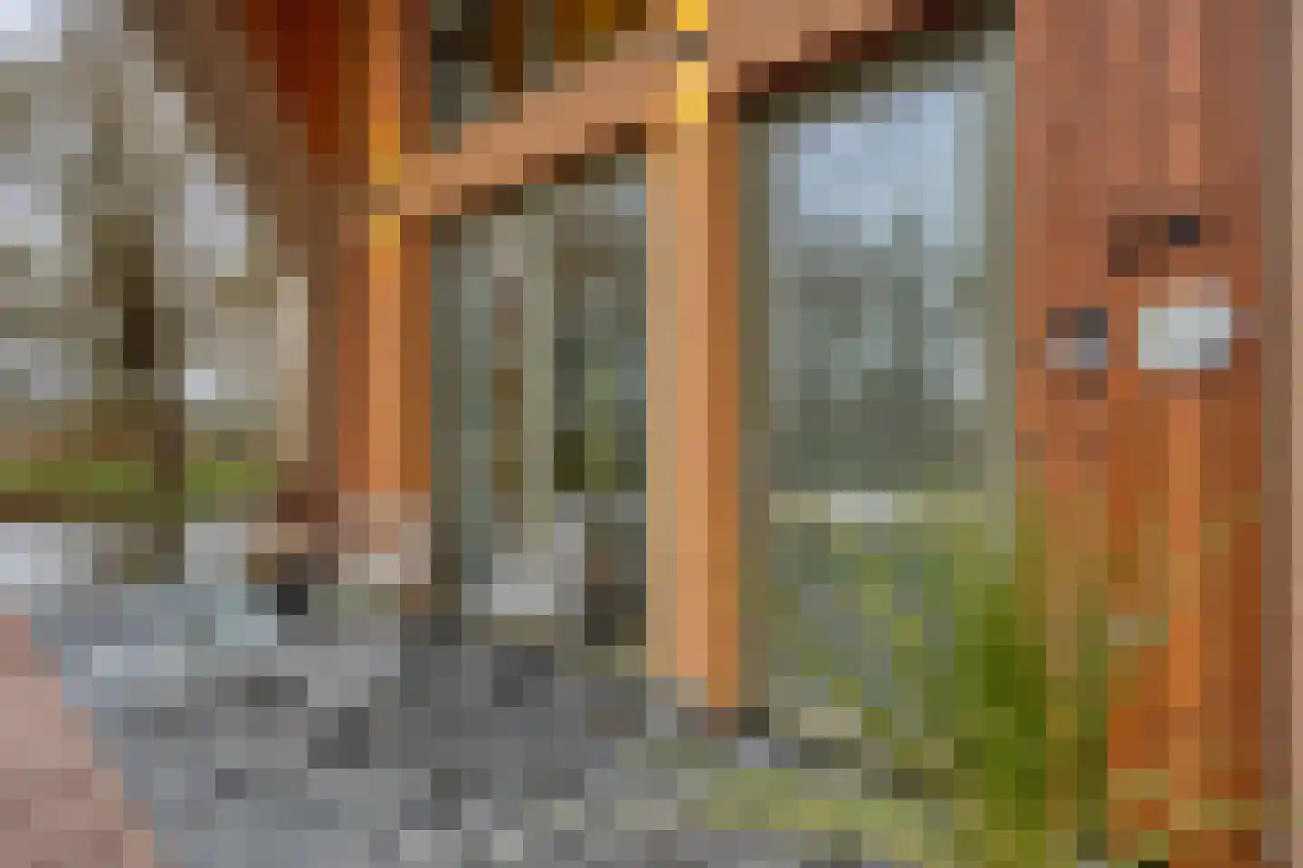 Ramses Shaffyhof 24 Zaandijk thumbnail 57