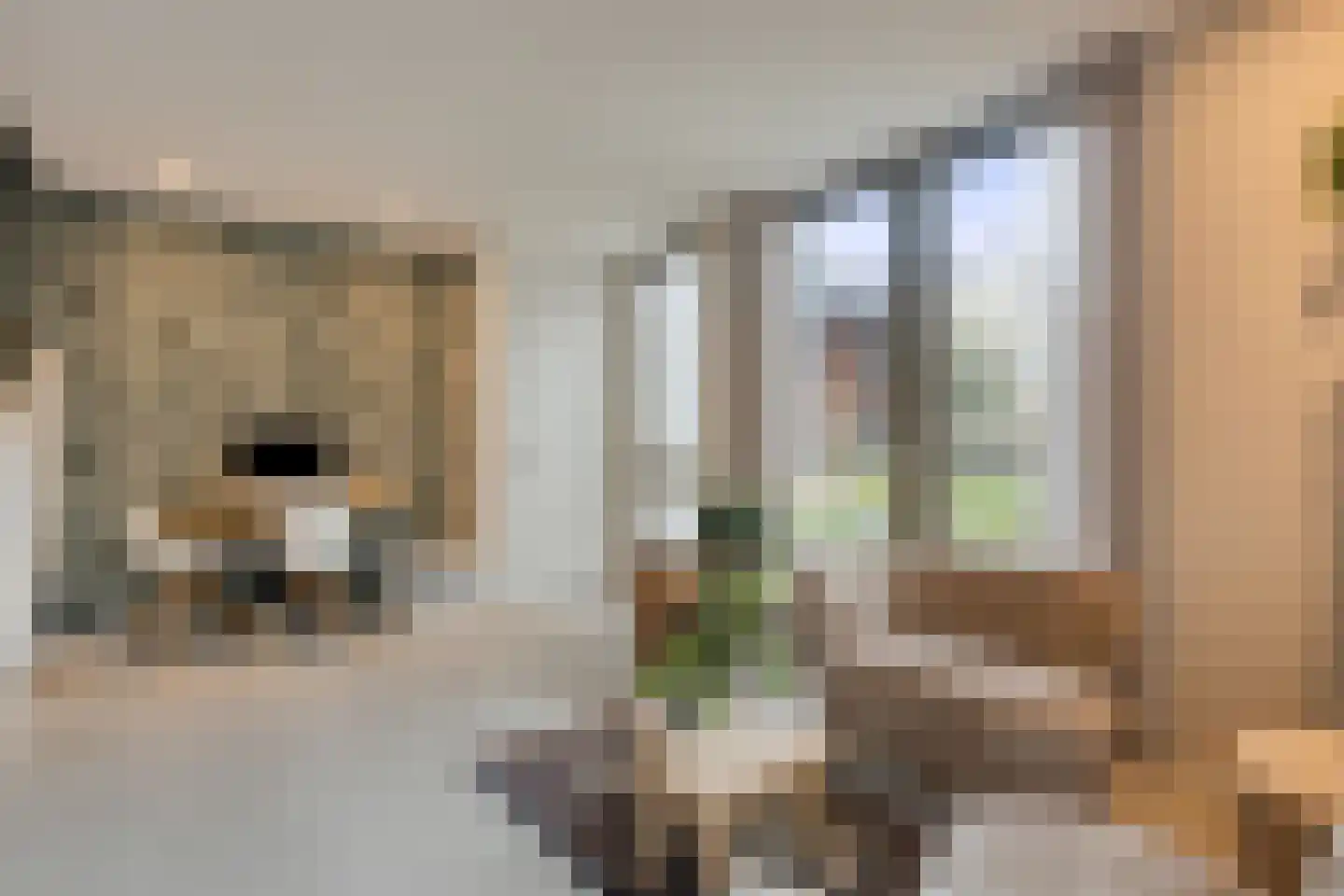 Ramses Shaffyhof 24 Zaandijk thumbnail 6