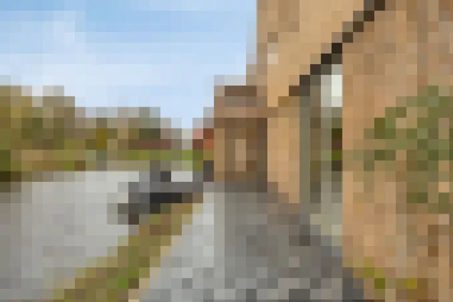 Ramses Shaffyhof 24 Zaandijk thumbnail 60