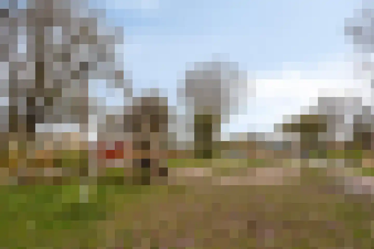 Ramses Shaffyhof 24 Zaandijk thumbnail 64