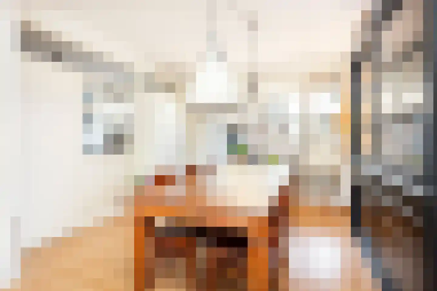 Ramsesdreef 213 Utrecht thumbnail 16