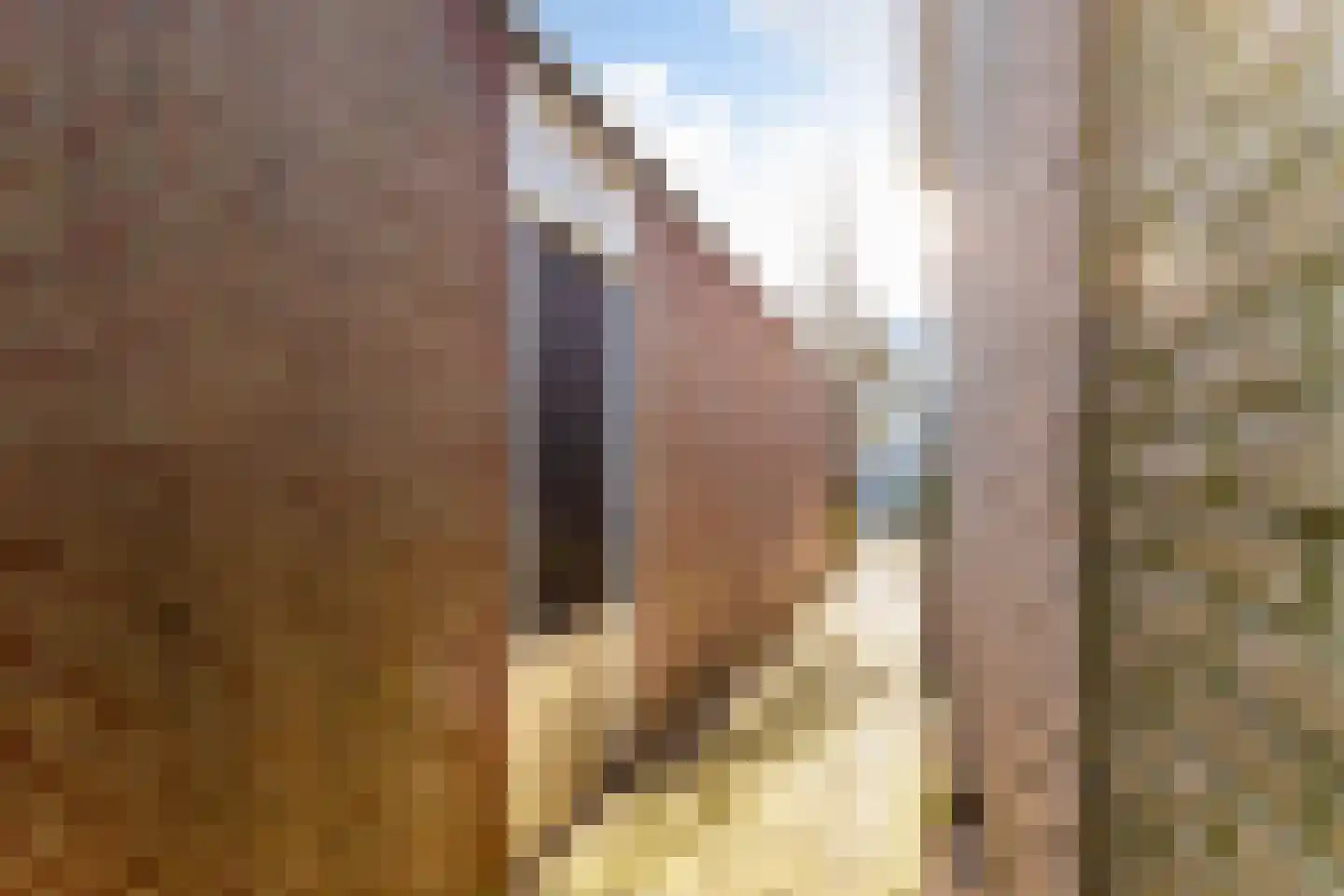 Ramsesdreef 213 Utrecht thumbnail 31