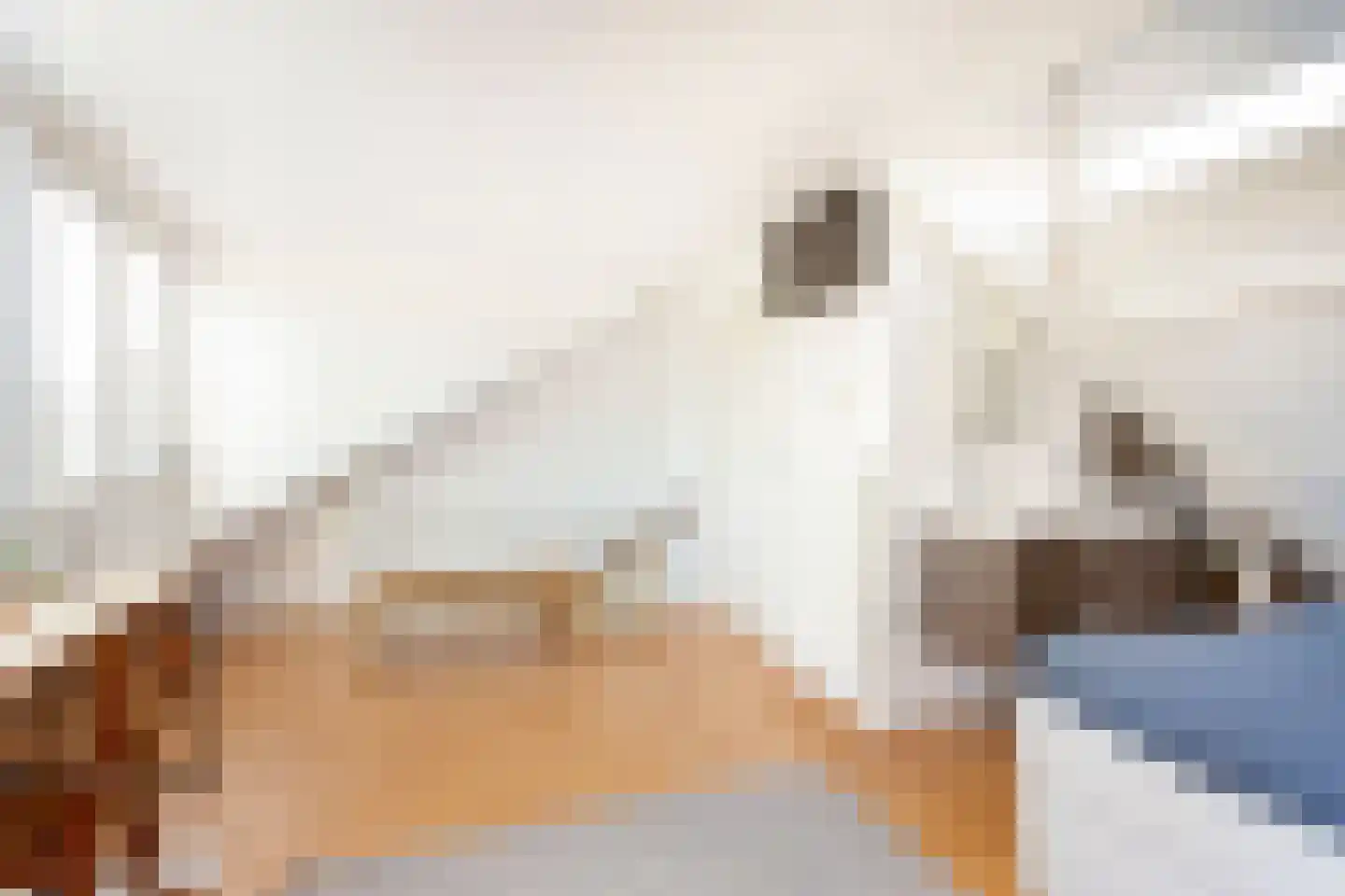 Ramsesdreef 213 Utrecht thumbnail 48
