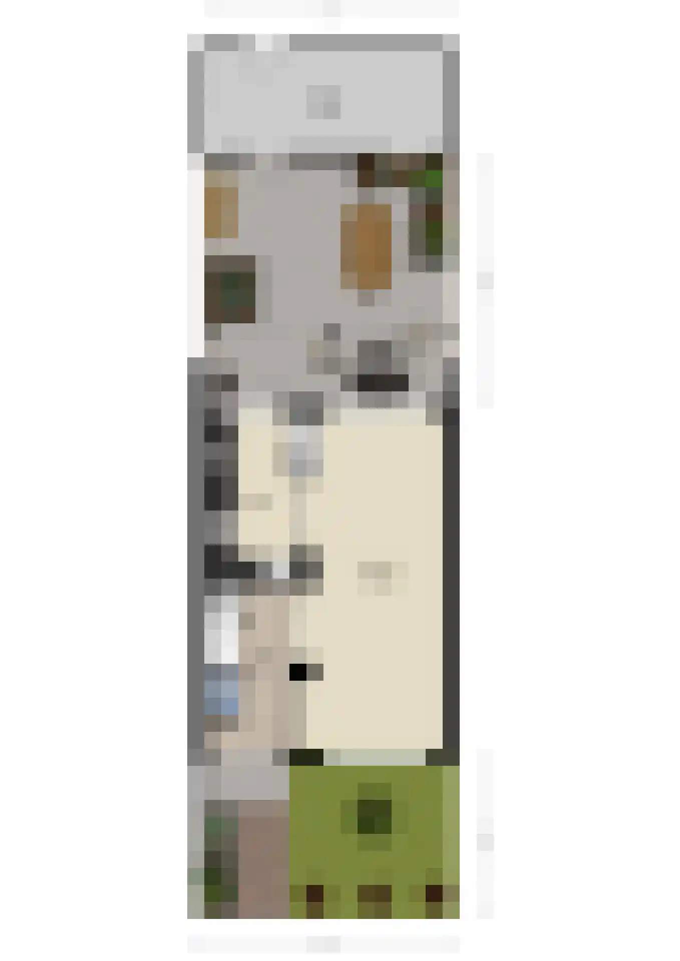 Ramsesdreef 213 Utrecht thumbnail 60