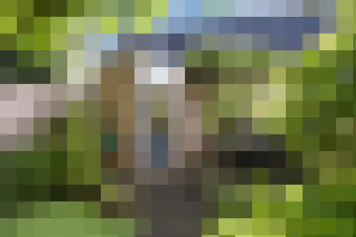 Ramshof 53 Warnsveld thumbnail 25