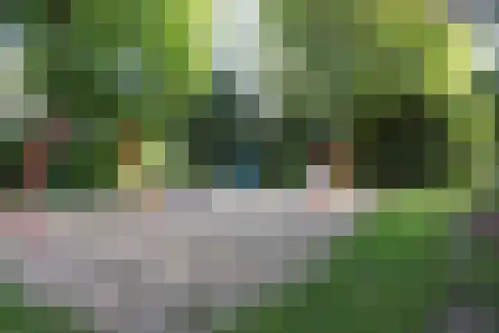 Ramshof 53 Warnsveld thumbnail 27
