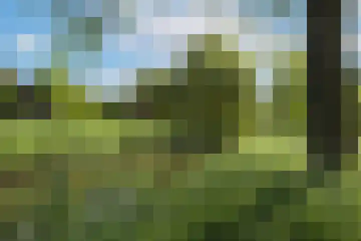 Ramshof 53 Warnsveld thumbnail 28