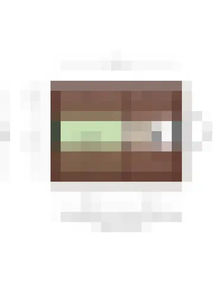 Ramshof 53 Warnsveld thumbnail 31