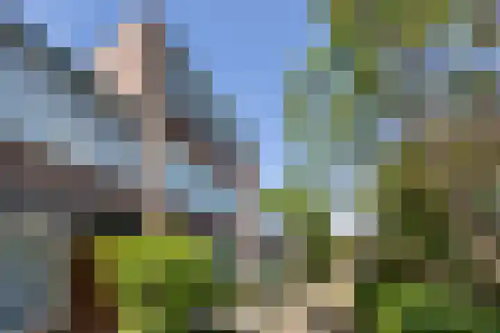 Ramspol 70 Haarlem thumbnail 22